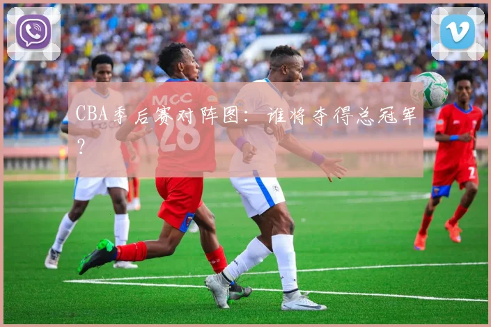 CBA季后赛对阵图：谁将夺得总冠军？